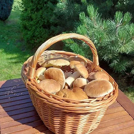 Nyaraló House Ilona