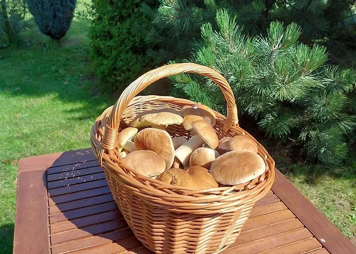 Dom wakacyjny House Ilona